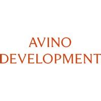 Avino Development.